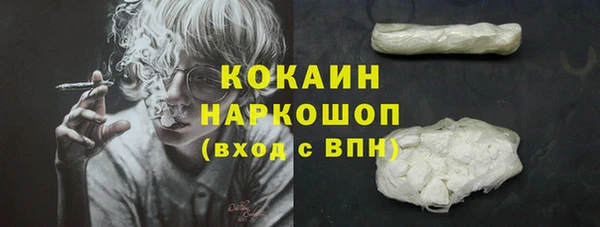 сатива Баксан