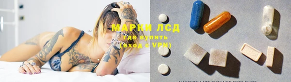сатива Баксан
