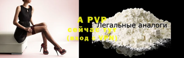 сатива Баксан