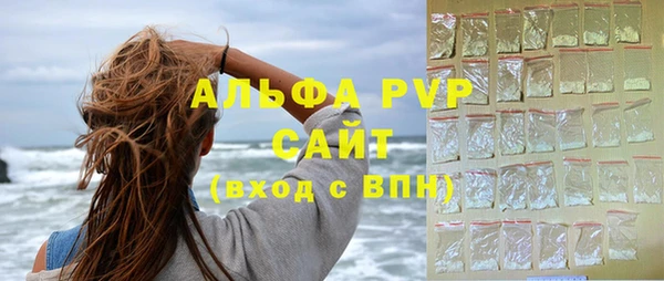 сатива Баксан
