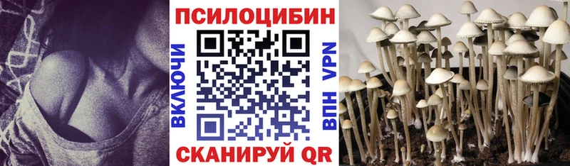 Псилоцибиновые грибы GOLDEN TEACHER  закладки  kraken ССЫЛКА  Лакинск 